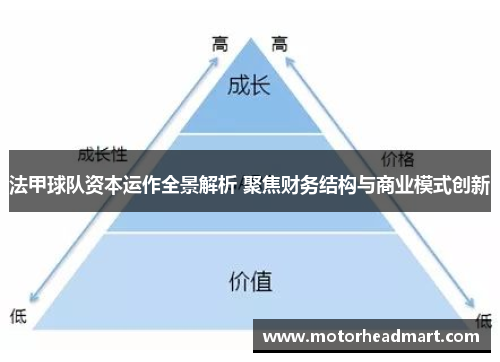法甲球队资本运作全景解析 聚焦财务结构与商业模式创新