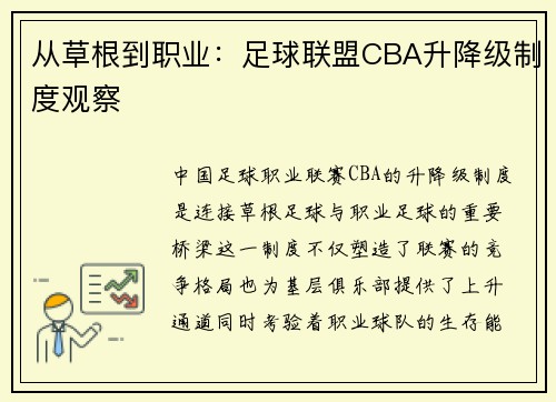 从草根到职业：足球联盟CBA升降级制度观察