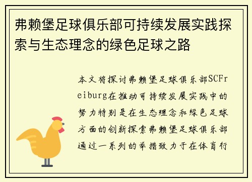 弗赖堡足球俱乐部可持续发展实践探索与生态理念的绿色足球之路
