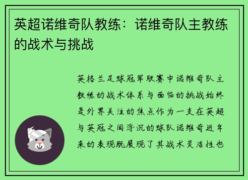 英超诺维奇队教练：诺维奇队主教练的战术与挑战